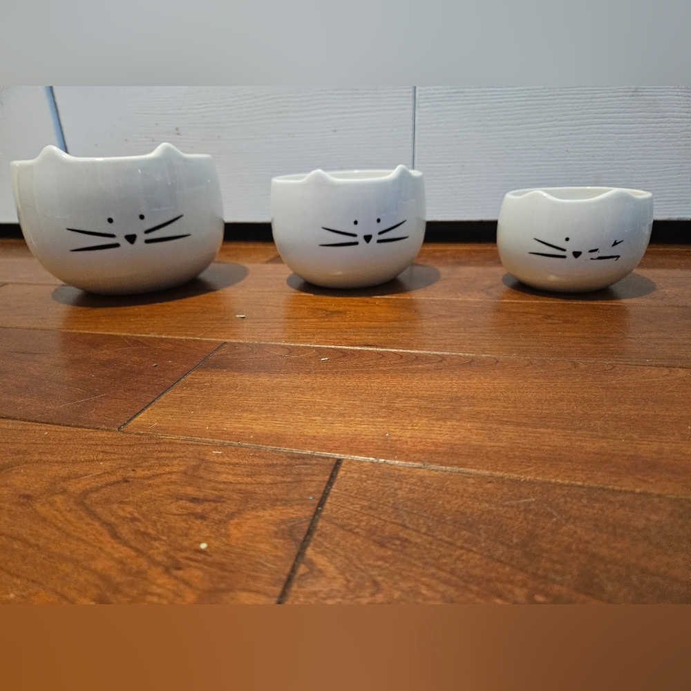 Cat face plant pots